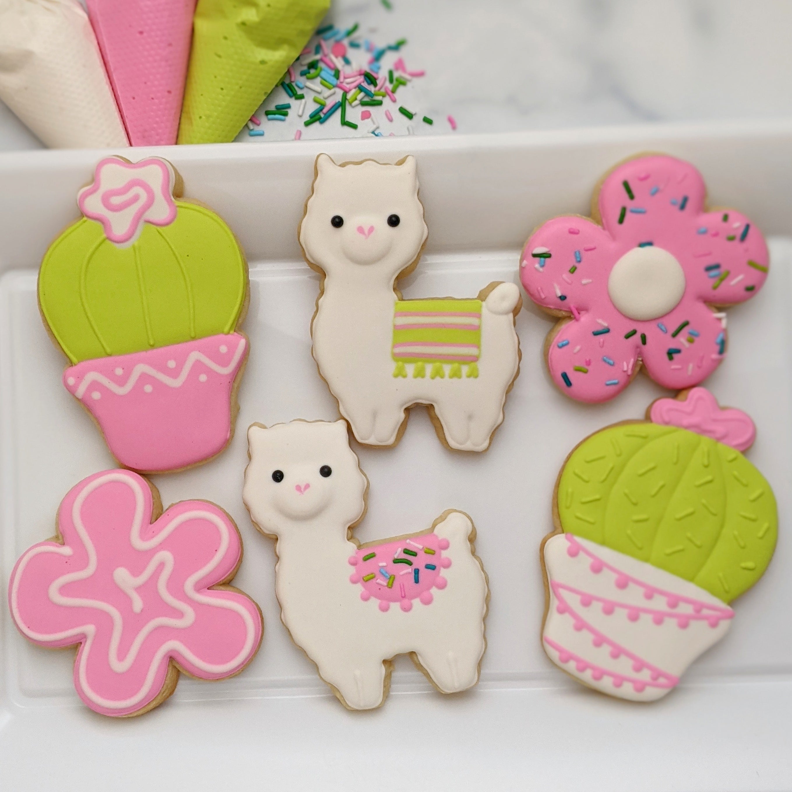 Llama & Cactus Cookie Decorating Kit