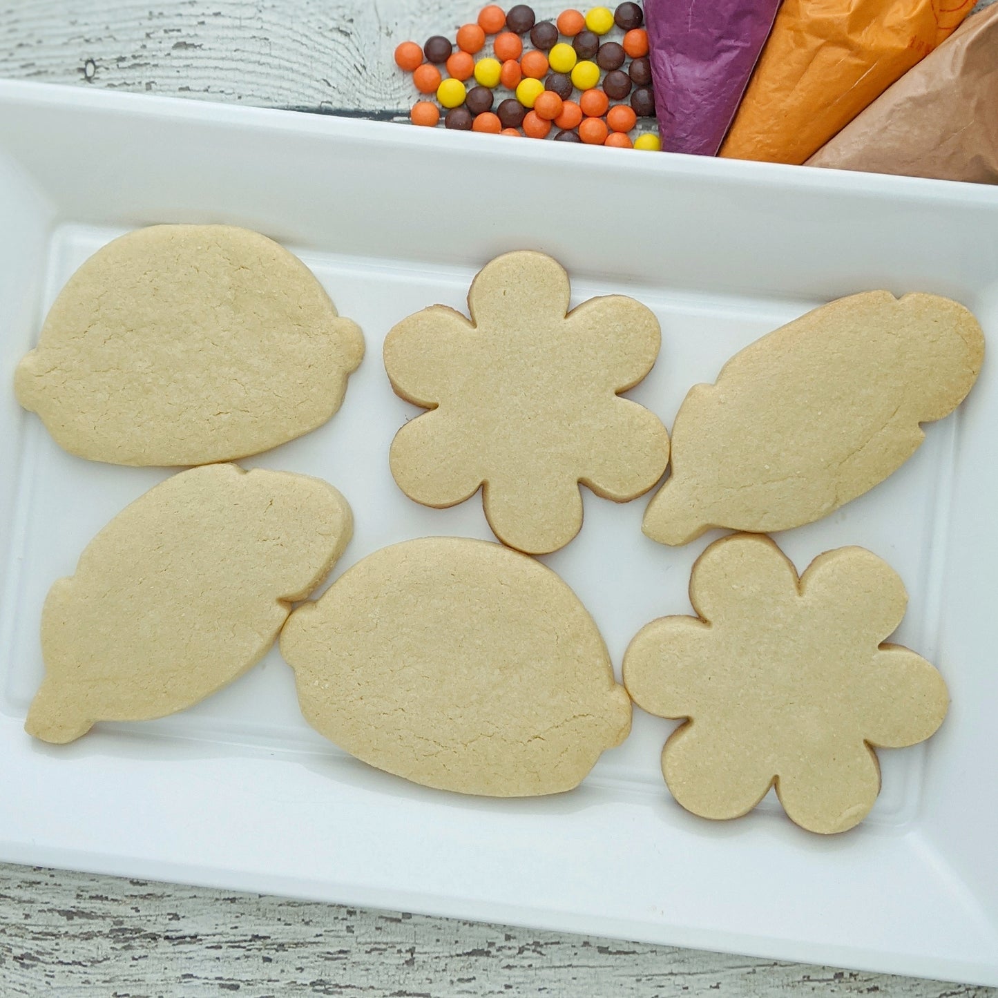 Nuts About Thanksgiving Cookie Decorating Kit