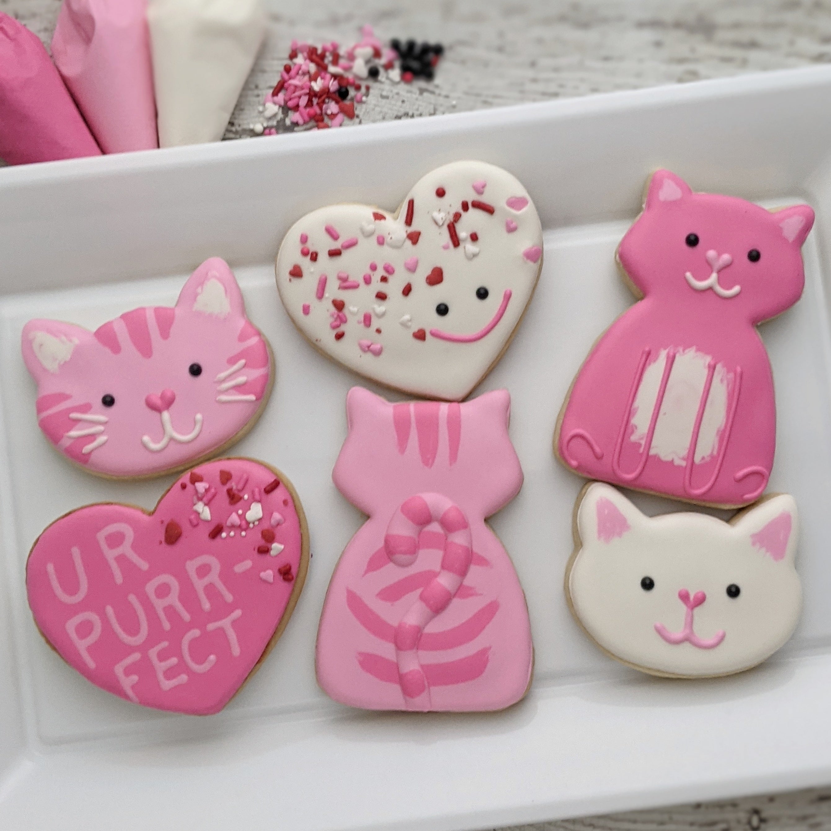 Valentine's Kitties Cookie Decorating Kit