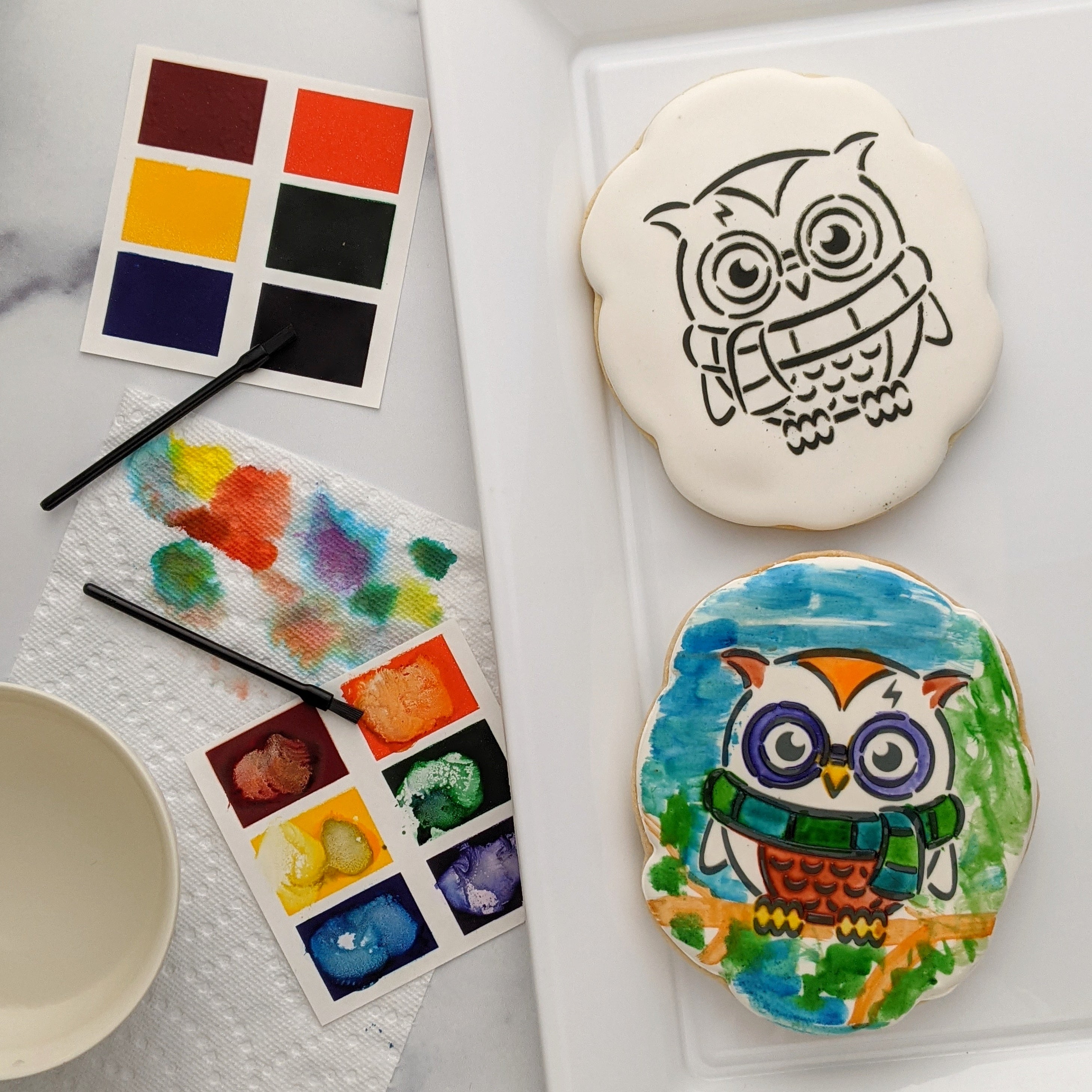 Owl Paint Your Own Sugar Cookie Kit